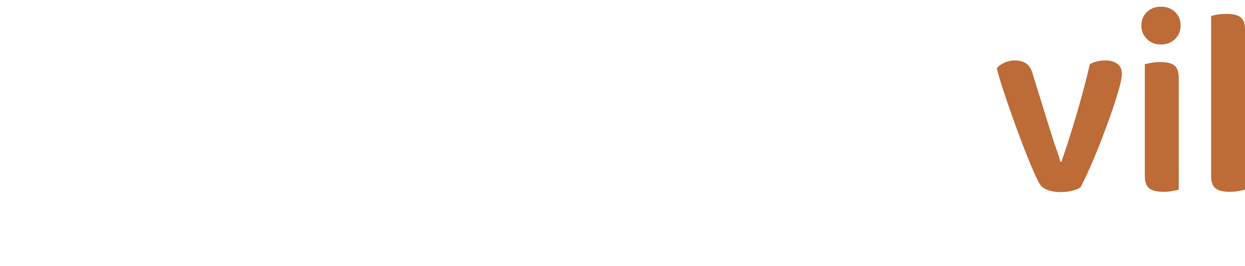 Ativo 3.png