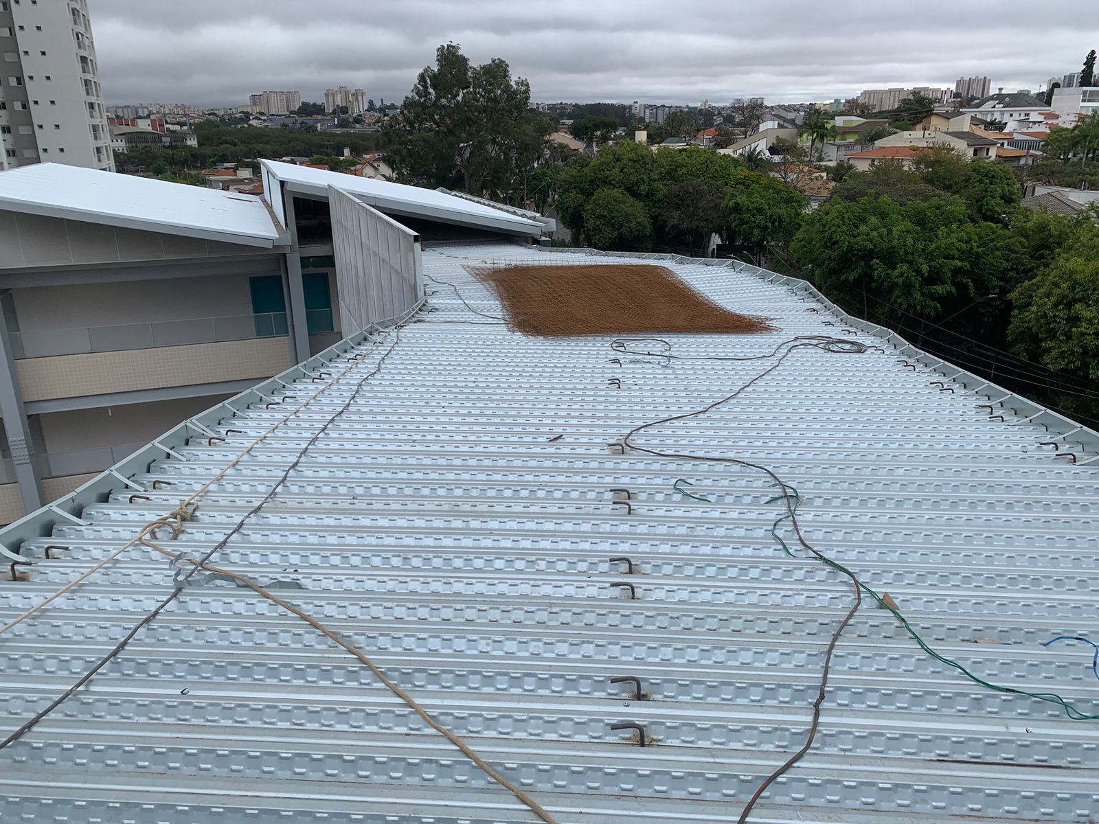 WhatsApp Image 2025-05-13 at 16.23.12.jpeg