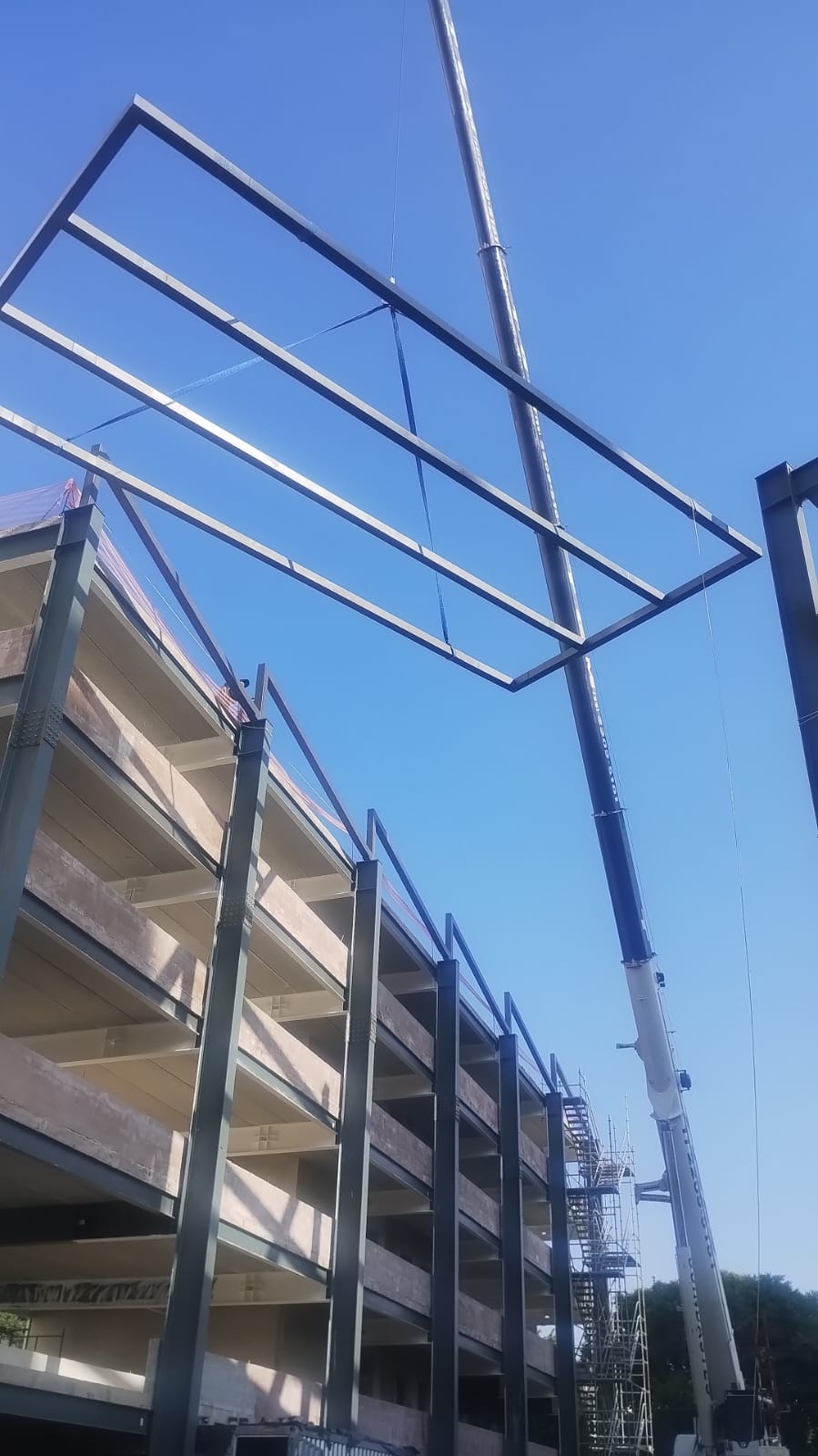 WhatsApp Image 2025-05-13 at 16.15.48.jpeg